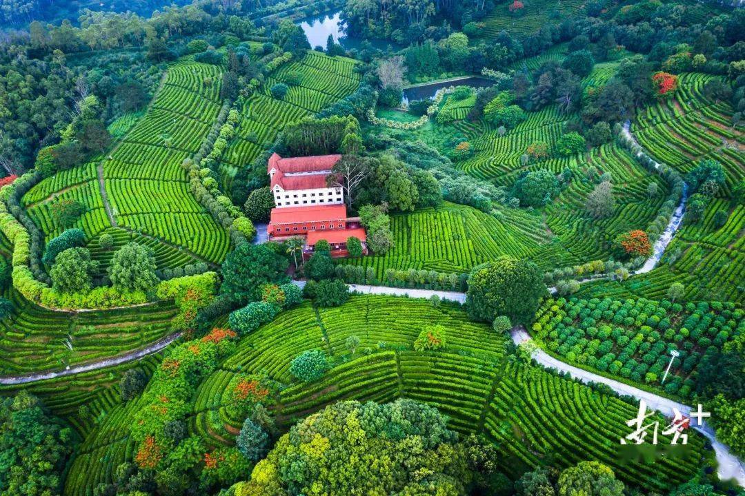 广东省的壮丽景观，探索无尽的魅力之旅