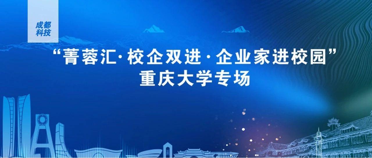 广东麦寻有限公司，探索、创新与发展的前沿