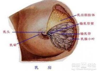 孕6个月乳头出水，原因、护理与注意事项