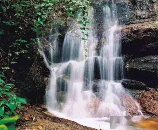 广东省山泉水，自然之韵，生命之源