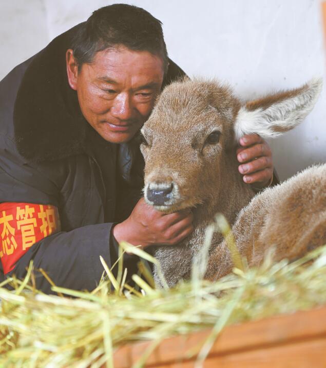 广东腾装饰工程有限公司，塑造美好居住环境的行业佼佼者