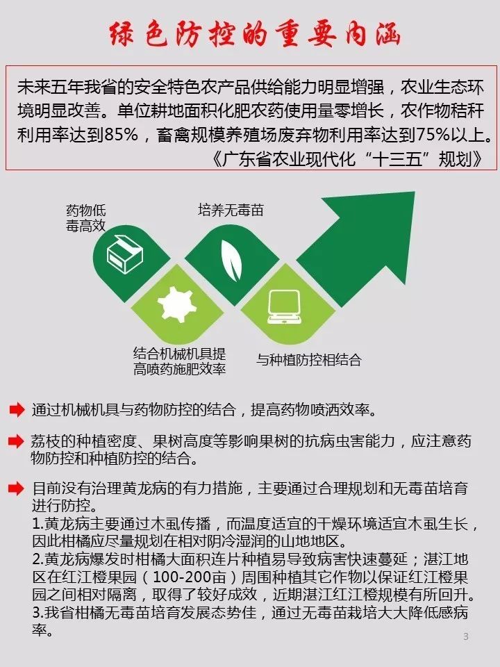 广东省教辅批发，探索、发展与未来展望