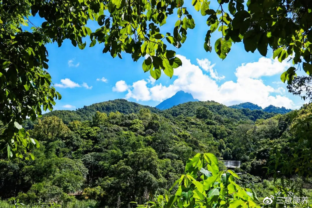 五指山市房产，热带雨林的绿色居住选择