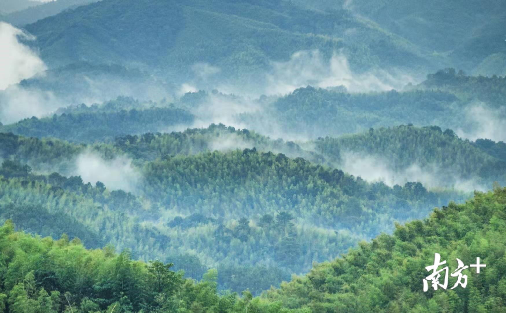 广东省小坑镇旅游攻略，探索自然美景与人文魅力的绝佳去处