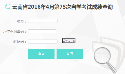 自学考试网查询入口，便捷获取成绩与信息的途径