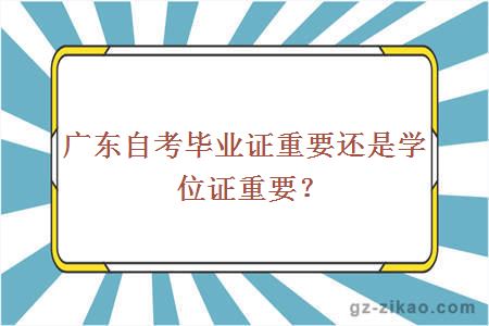 自考网助学机构，助力个人成长与自我提升的关键力量