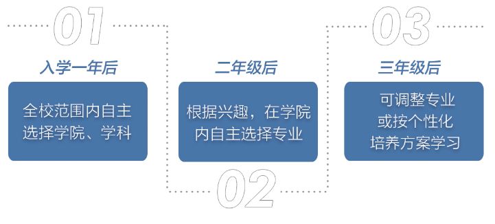 自考网教与专科，探索新型教育模式下的机遇与挑战