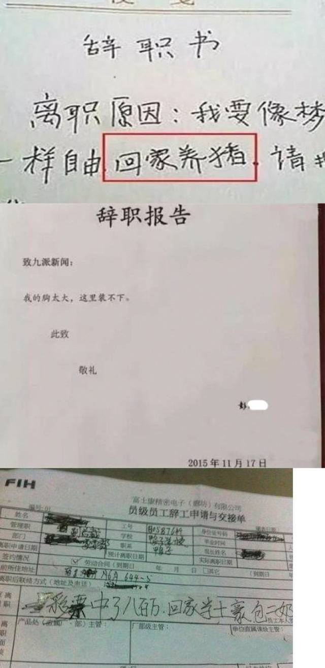 关于专升本与辞职的思考