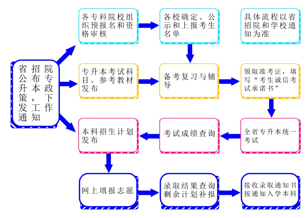 专升本具体流程详解