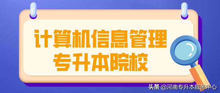 专升本管理专业的深度探索与挑战