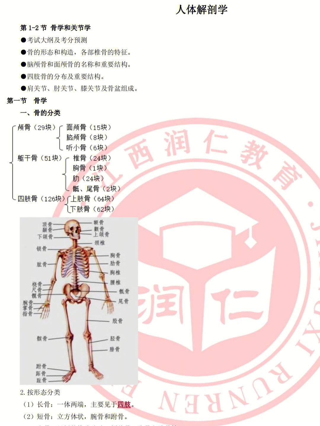 河北专升本解剖学的学习之路