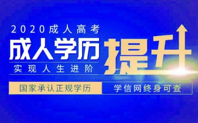 专升本报名网站，助力学历提升的新起点