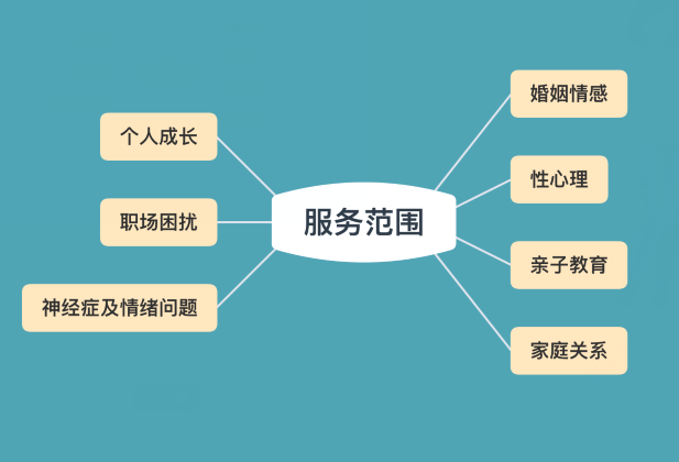 自考网教，探索现代教育的多元路径