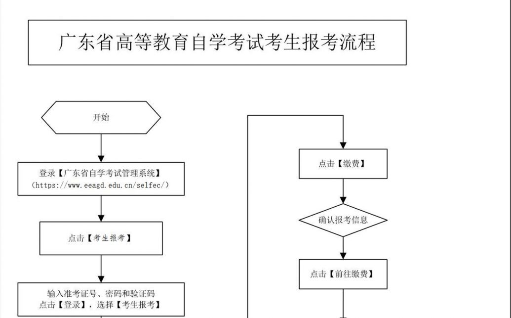 自学考试网怎么样的深度探讨