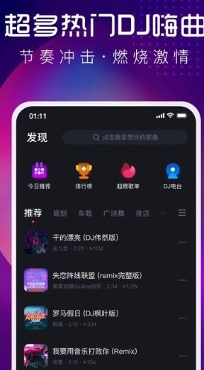 最经典DJ音乐下载网站，探索音乐海洋的宝藏之地