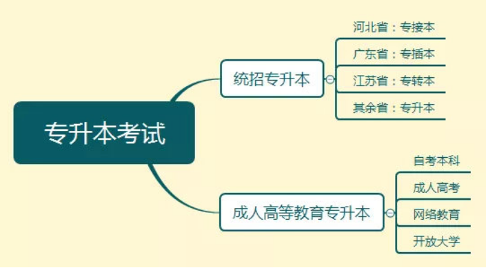 专升本之路，芽依的成长之旅