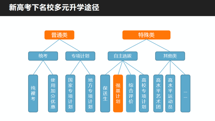 专升本与专转本，教育路径的多元探索