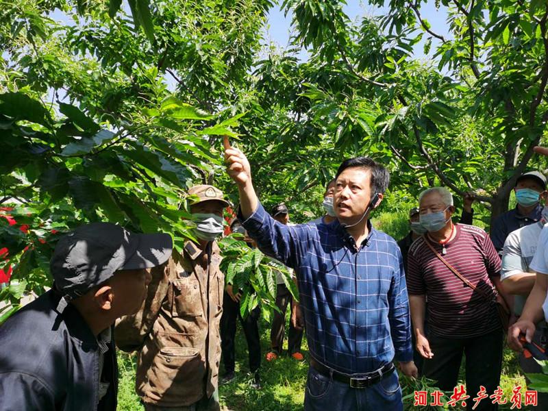 遵化人才市场招聘，探索人才市场的繁荣与机遇