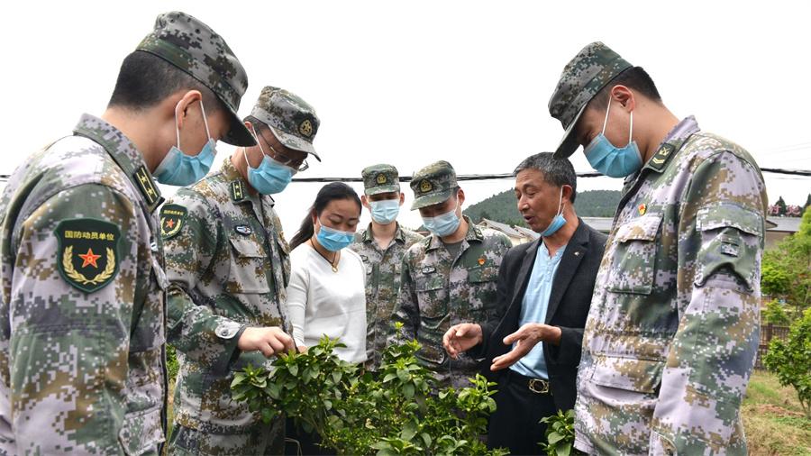 株洲云龙人才招聘信息概览