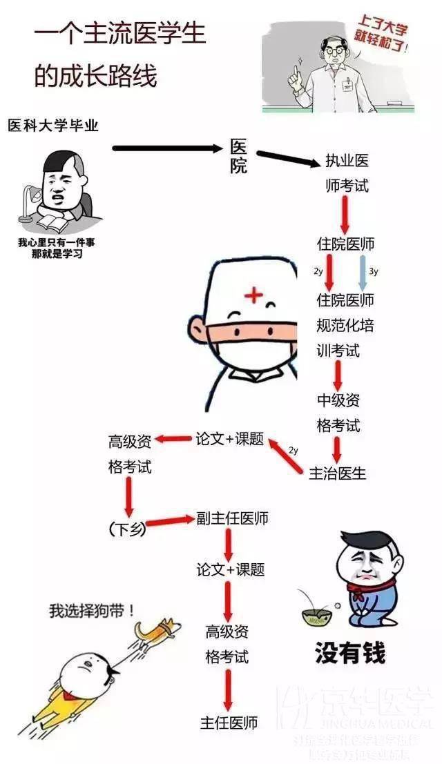 专升本医师，职业发展的路径与挑战