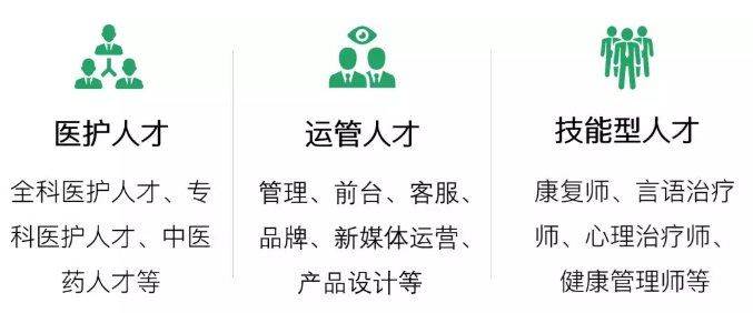 专业医疗人才网招聘，构建高效医疗人才招聘平台的策略与实践