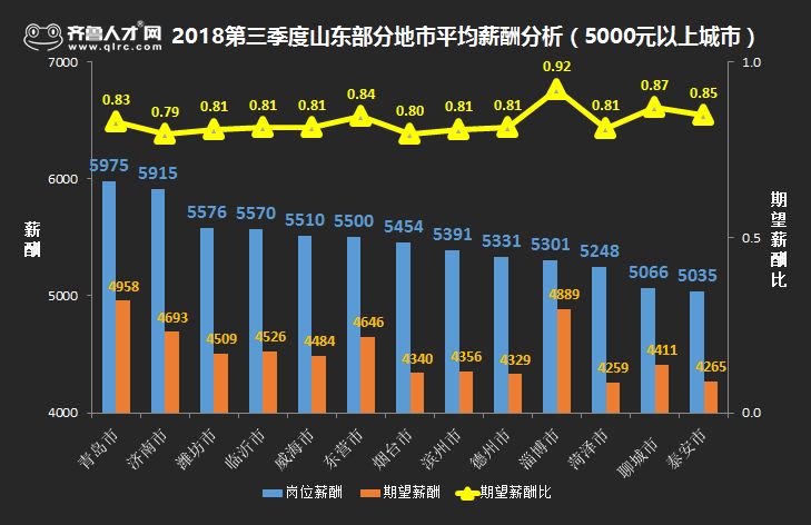 淄博齐鲁人才网招聘信息深度解析