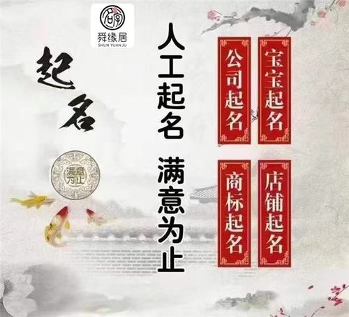 专升本取名的艺术，探索命名的深层意义与策略