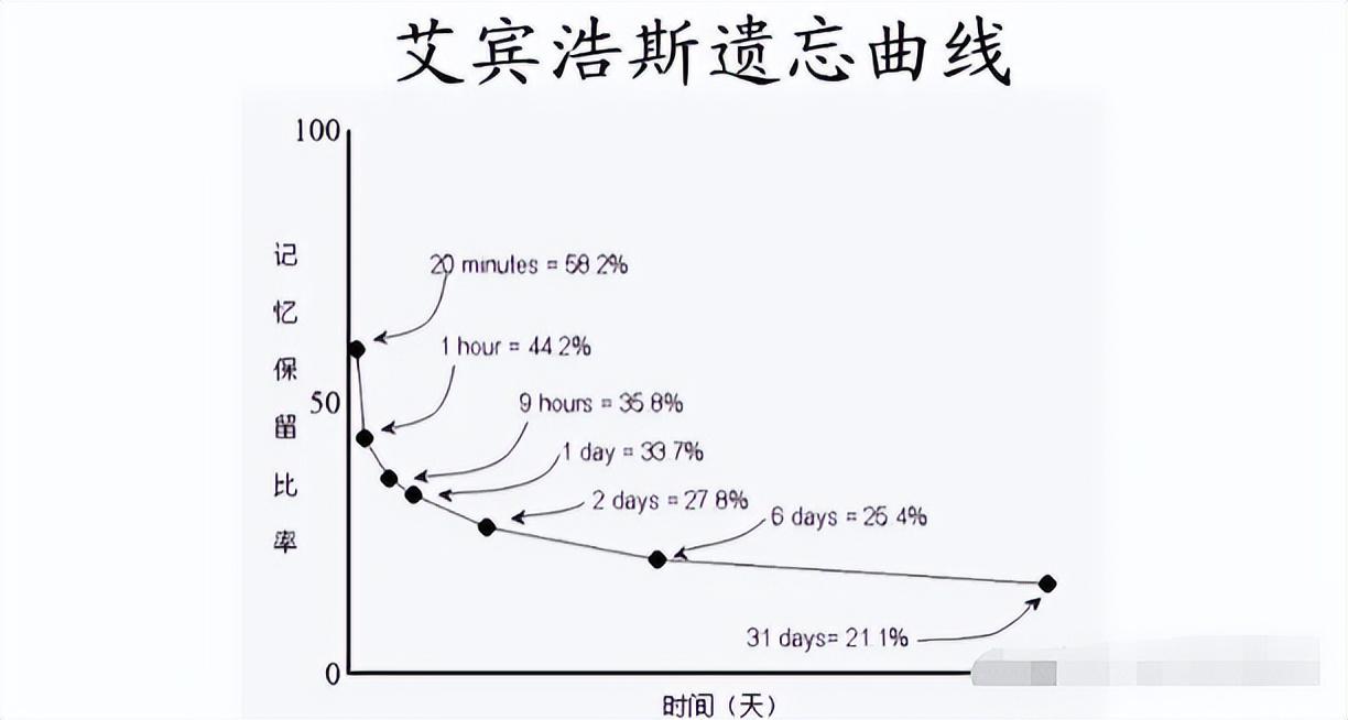 专升本之路，每一天的坚持与成长日记