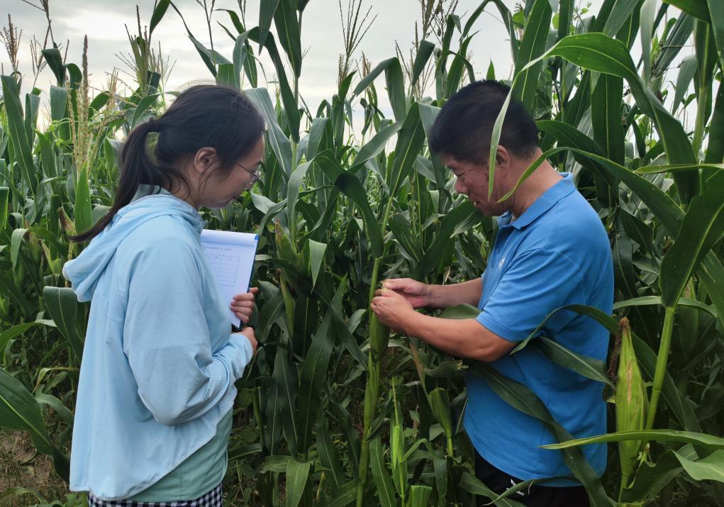 专升本植保，深化农业科学，筑牢绿色防线