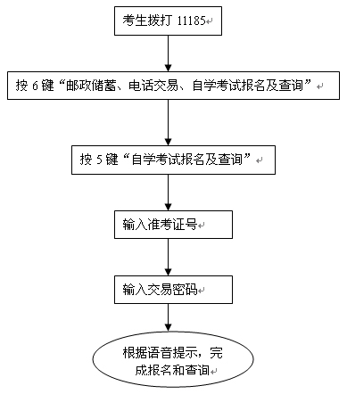 自考网客服位置及联系方式详解