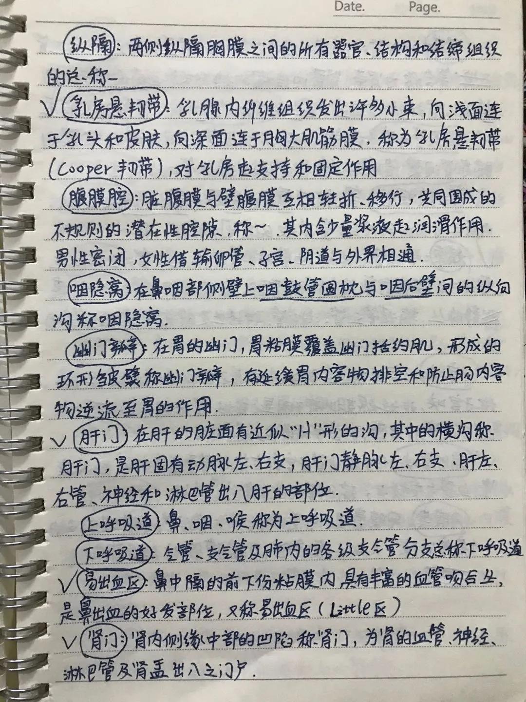 专升本生理学，理解与实践的关键要素