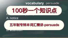 专升本报名攻略，一步步指导你完成报名流程