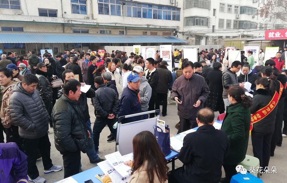 遵化市人才市场招聘，探索人才市场的繁荣与发展