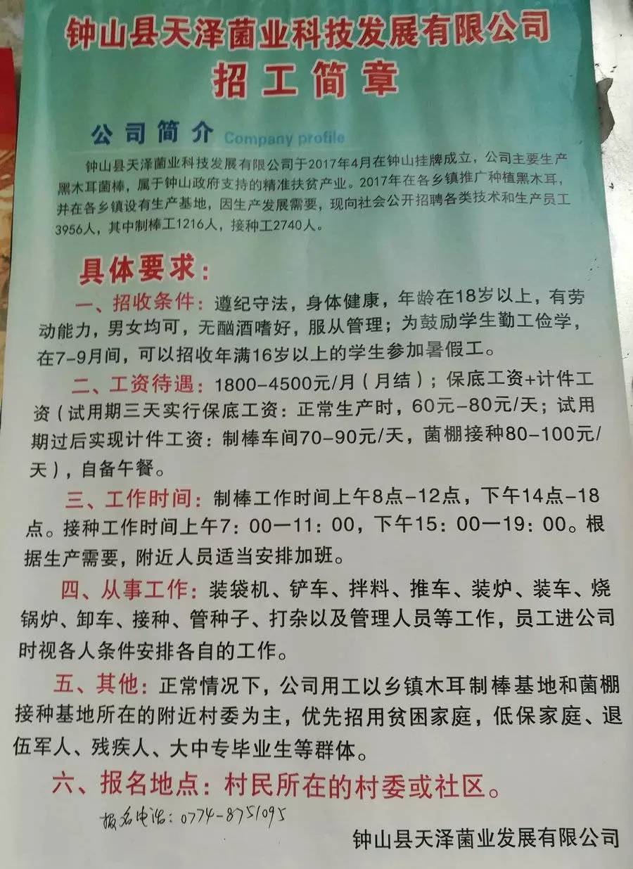 竹炭厂招工最新招聘信息