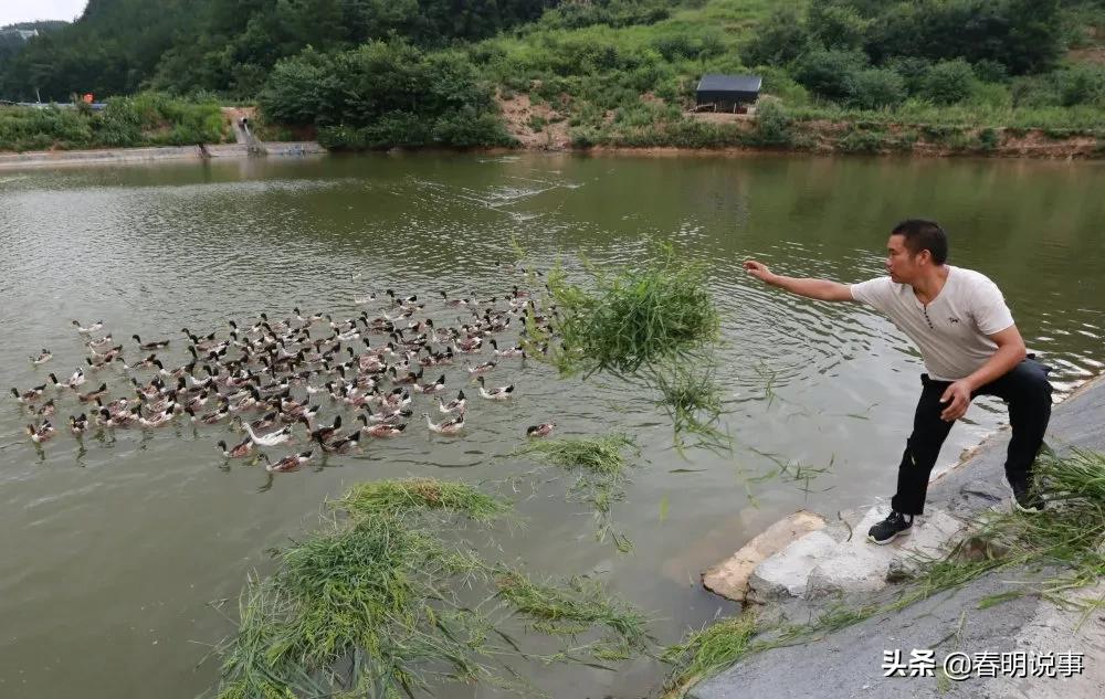 竹山县自学考试网登录，探索与解析