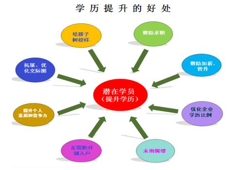 专接本与专升本，两种学历提升途径的比较与探讨