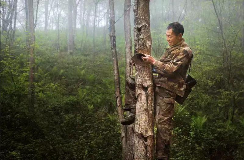 竹溪招聘，急需人才信息全面解析