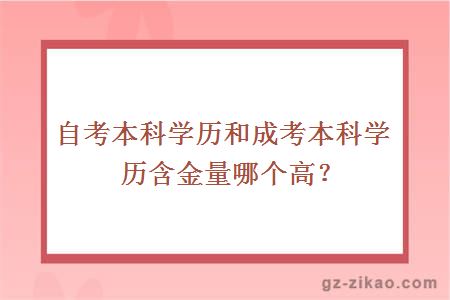 自考网教成考含金量，深度解析与探讨