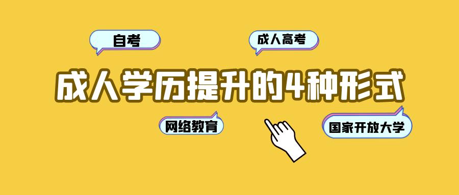 自考网哪个网站最好，深度解析与综合比较