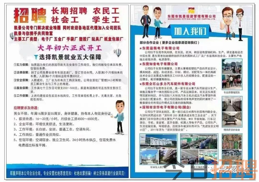 遵化人才市场司机招聘，探索职业机遇与未来发展