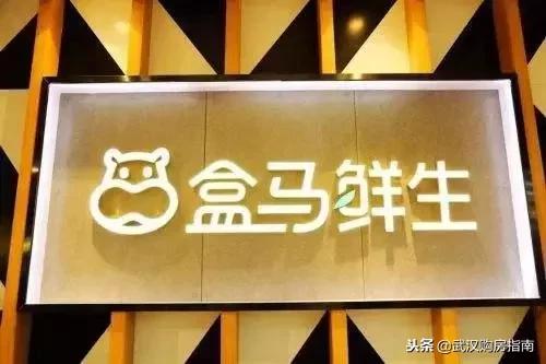 最新招工信息龙阳区招聘概览